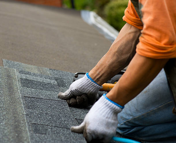 Professional Roofing Contractor in Meridian, ID