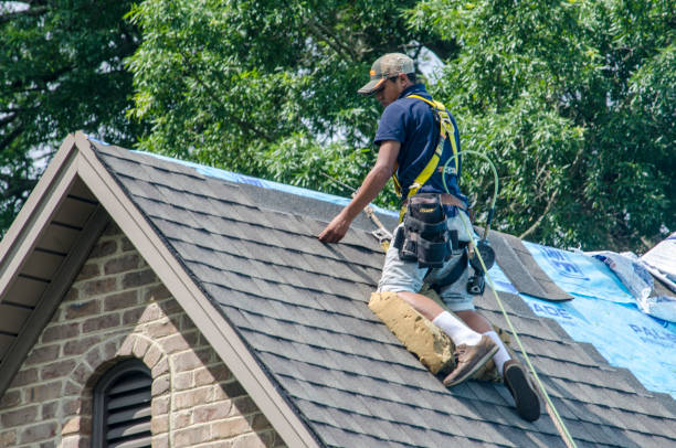 Best Roof Gutter Cleaning  in Merian, ID
